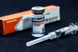 Coronavac Vacina Sinovac