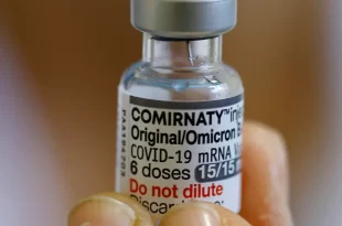 Vacina bivalente contra covid-19 começa em fevereiro/ reprodução: Pfizer